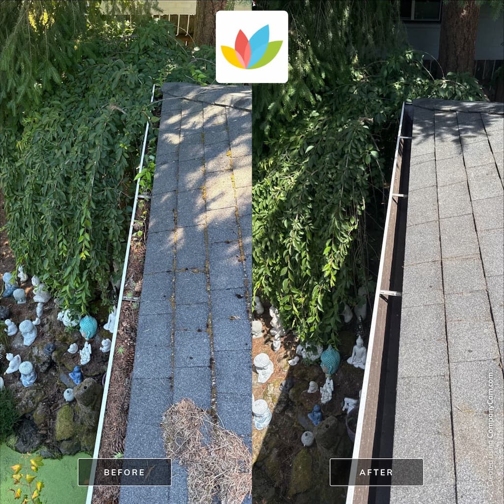 roof and gutter cleaning before and after with left side being dirty, clogged gutter with moss growing on shingles and right side being a clean and debris free roof located in portland or