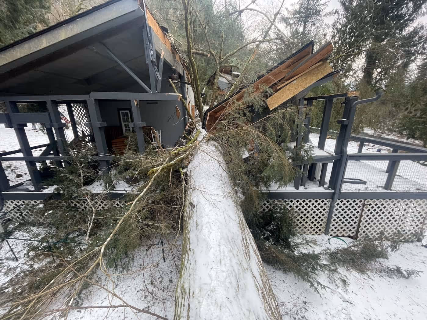 Large tree fallen on a house causing severe roof damage during a winter storm, requiring emergency roofing service.
