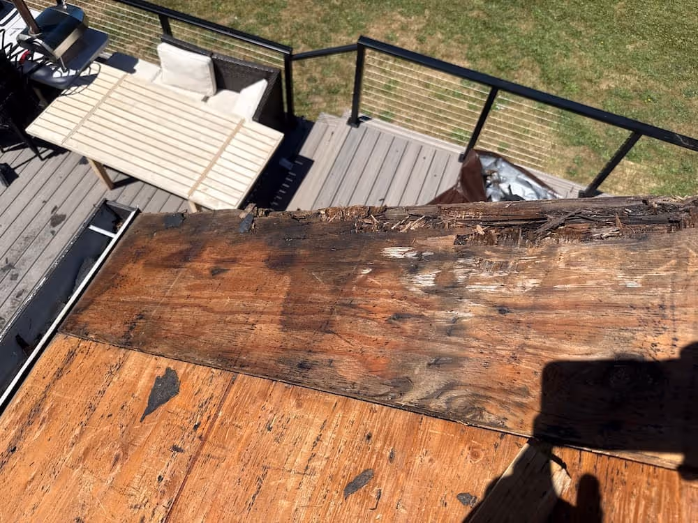 Water-damaged roof decking showing severe rot and discoloration from a long-term roof leak, photographed during repair work.