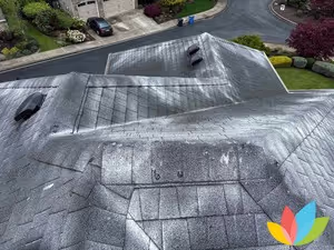 Aerial view of a residential roof covered with powder treatment after a cleaning, showing uniform white streaks and patches, surrounded by a neighborhood with trees and well-maintained lawns.