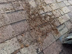 Close-up of a roof section showing visible dirt, debris, and moss growth on the shingles.