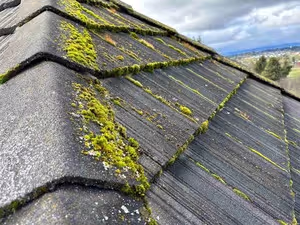 Image of a roof with asphalt shingles, displaying green moss growth along the ridges and edges of the shingles. The sky is partly cloudy with a view of distant hills and trees.