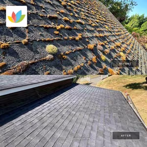 Side-by-side view of a roof before and after moss removal, showing the transformation from moss-covered shingles to a clean, well-maintained roof.