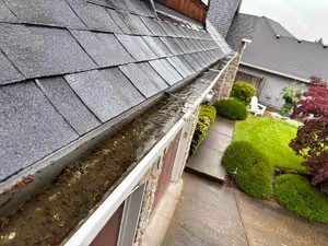 A gutter on a house filled with debris such as leaves and dirt, causing it to overflow. The roof shingles are wet, indicating recent rain, and the surrounding area includes a neatly maintained garden with bushes and a walkway.