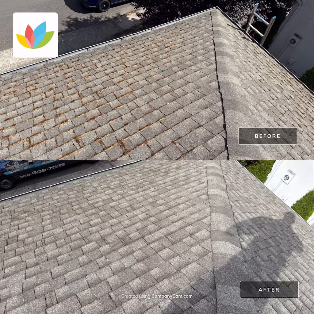 Before and after comparison of a roof cleaning, showing the roof covered in green moss in the top image and the same roof cleaned and free of moss in the bottom image with a clear indication to roof cleaning benefits