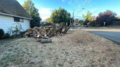 Large pile of tree logs and branches stacked in a yard after a tree removal service, next to a white house on a corner lot, with surrounding trees and a clear sky.