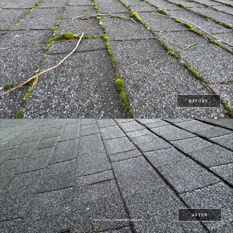 Side-by-side before and after image of a moss-covered roof cleaned to reveal clean shingles underneath.