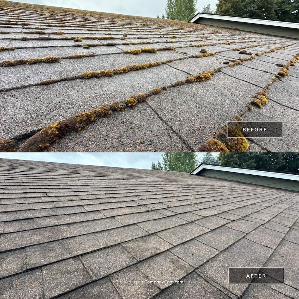 Before and after roof cleaning images showing heavy moss buildup along shingle edges and the same roof cleared of moss for improved appearance and longevity.