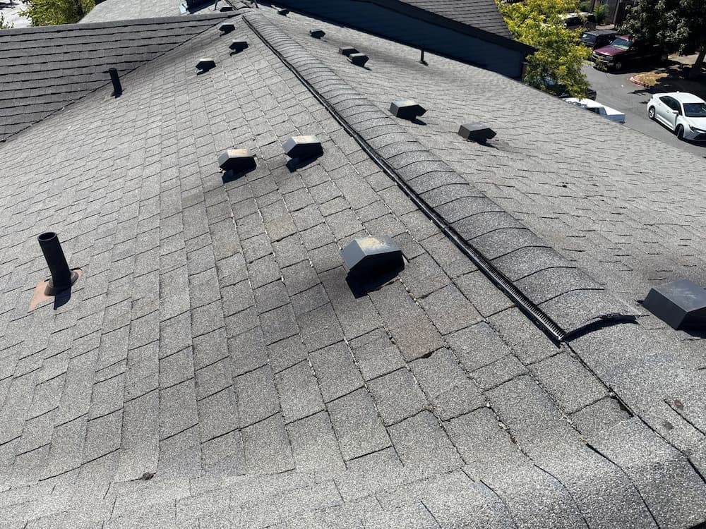 Asphalt shingle roof with multiple box vents and ridge vent visible along the peak, photographed on a sunny day with nearby trees and parked cars in the background.