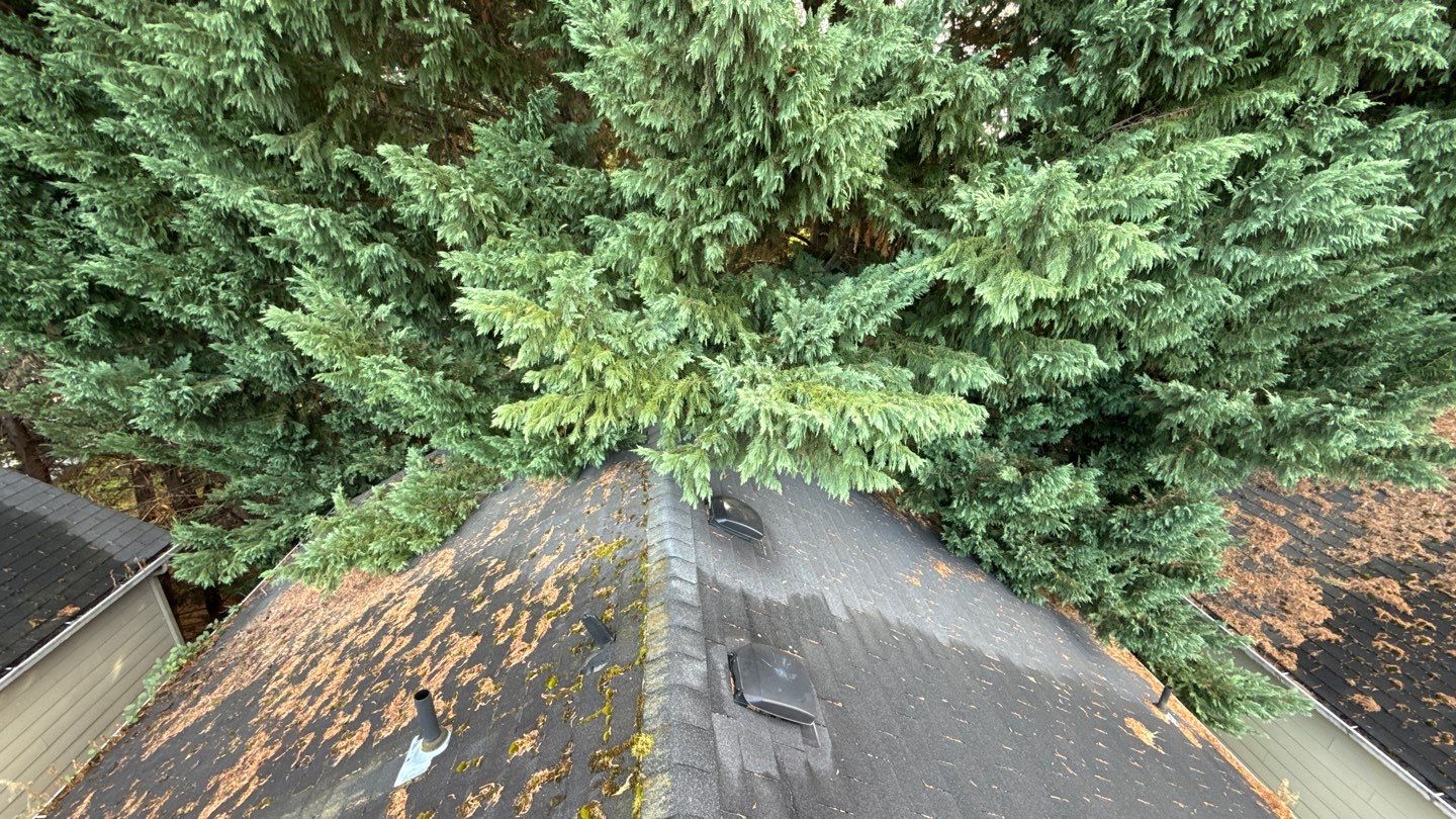 A close-up view of a roof corner severely damaged by a fallen tree branch. The shingles and wood structure are torn apart, exposing the underlying layers of the roof and fascia. Tree trunks and branches are visible beside the house, showing how the impact caused a large section of the roof to splinter and cave in.