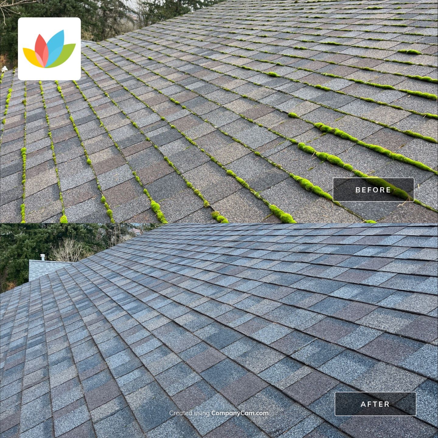 clean roof after moss removal