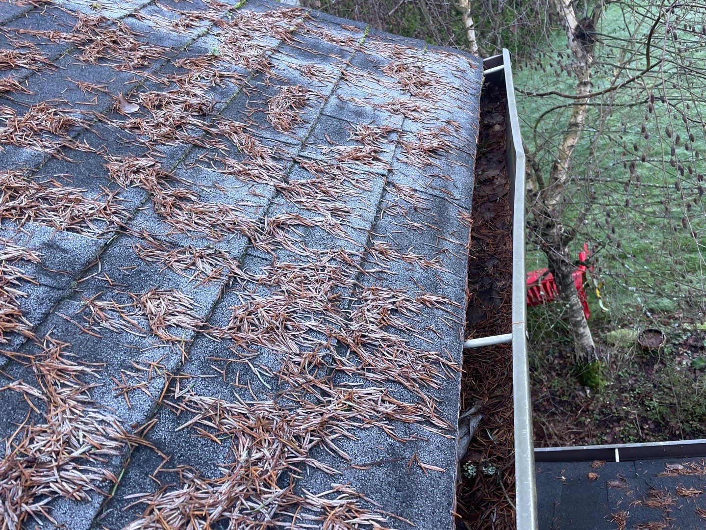 Portland OR gutter needing January inspection