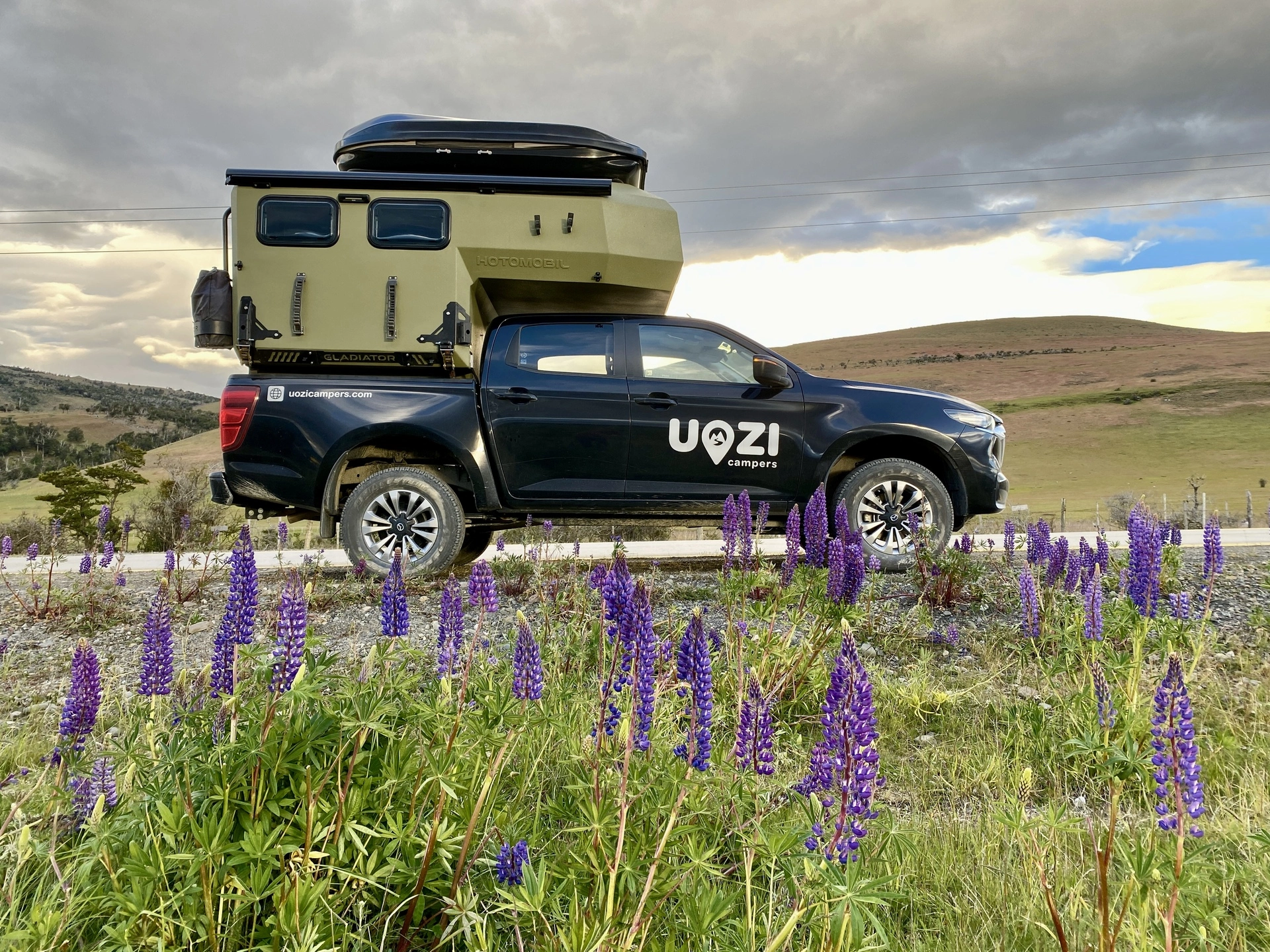 Uozi camper on a black pickup along a road lined with blooming lupines