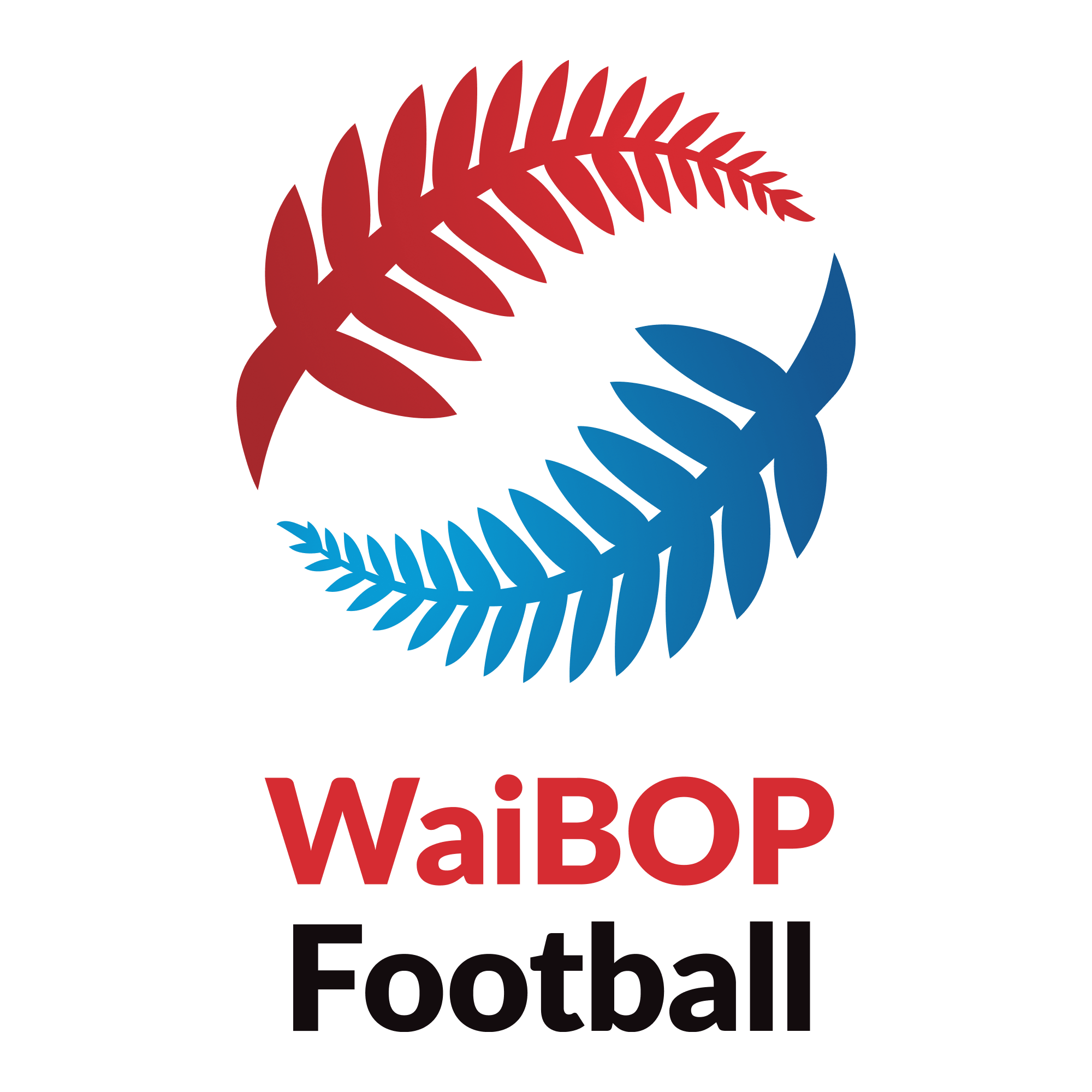 WaiBOP Football