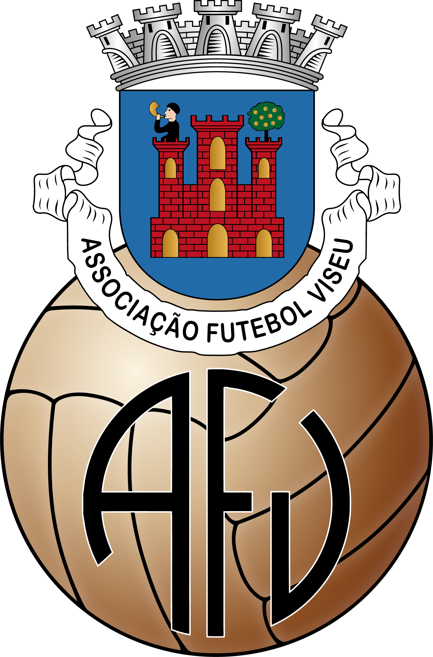 AF Viseu