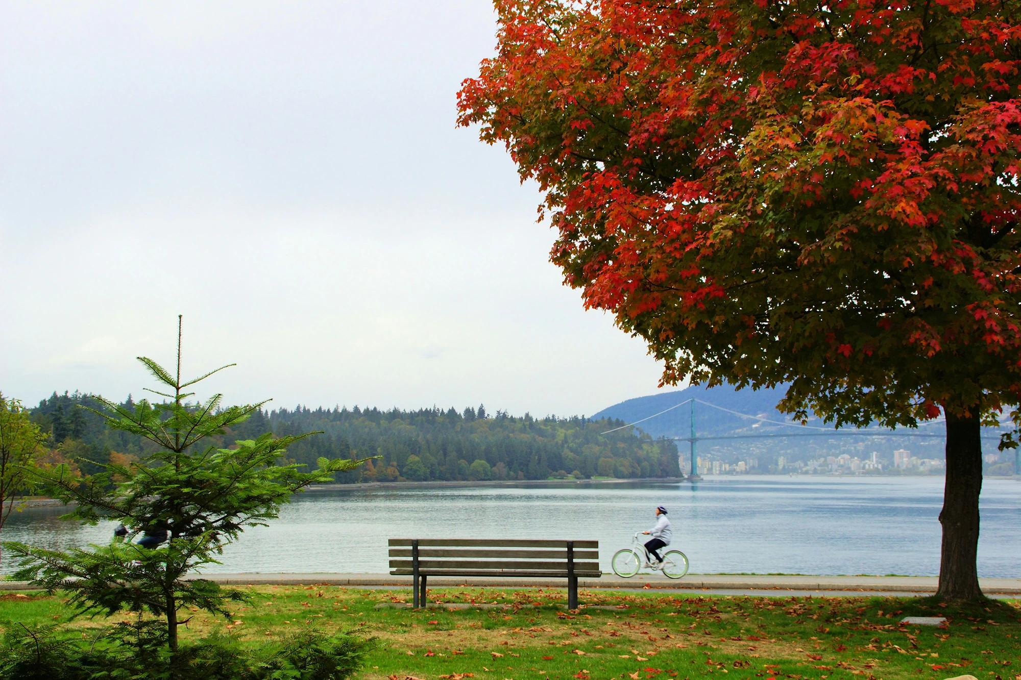 stanley park vancouver