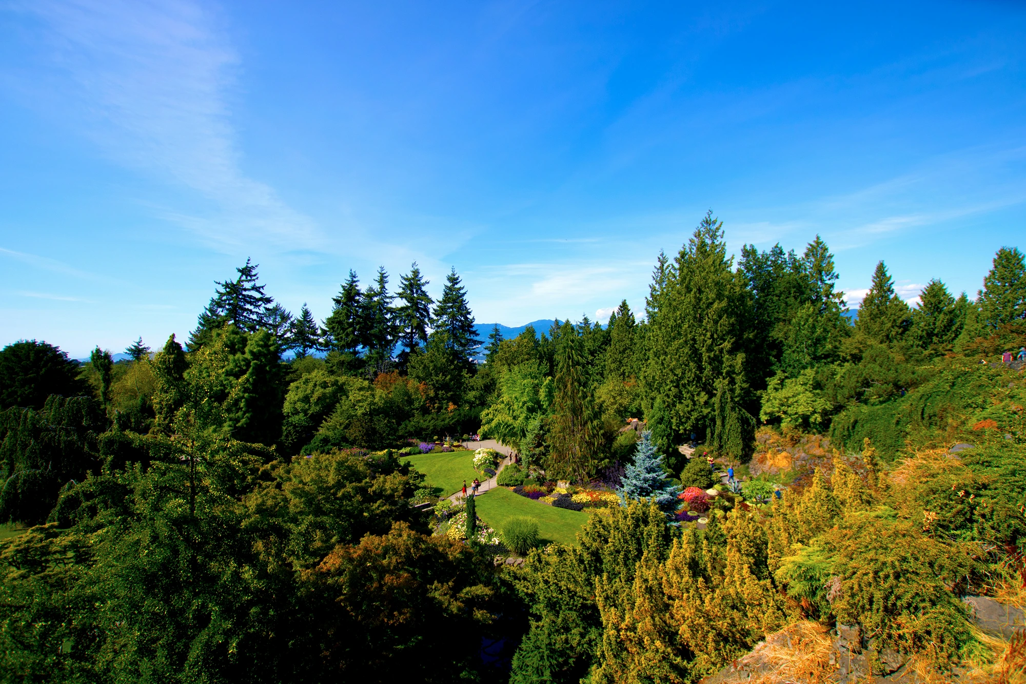 Queen Elizabeth Park Vancouver