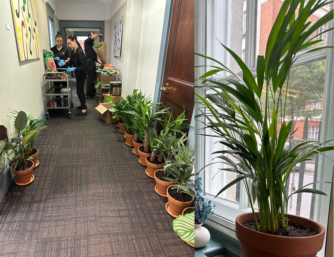 London’s First Outstanding Biophilic Conference Venue