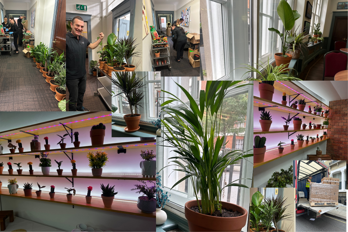 London’s First Outstanding Biophilic Conference Venue
