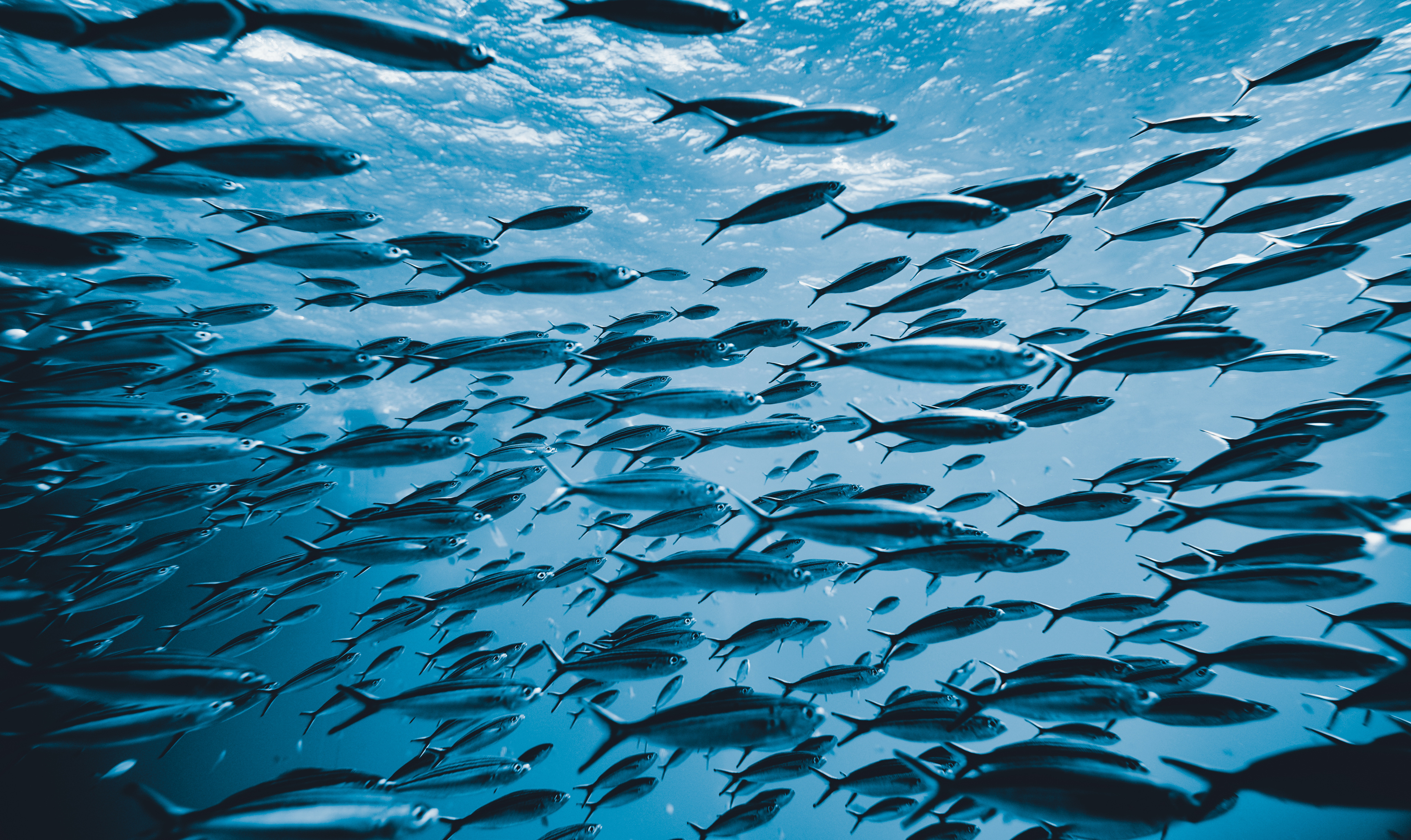10 Achievable ideas to help make your conference more sustainable in 2026