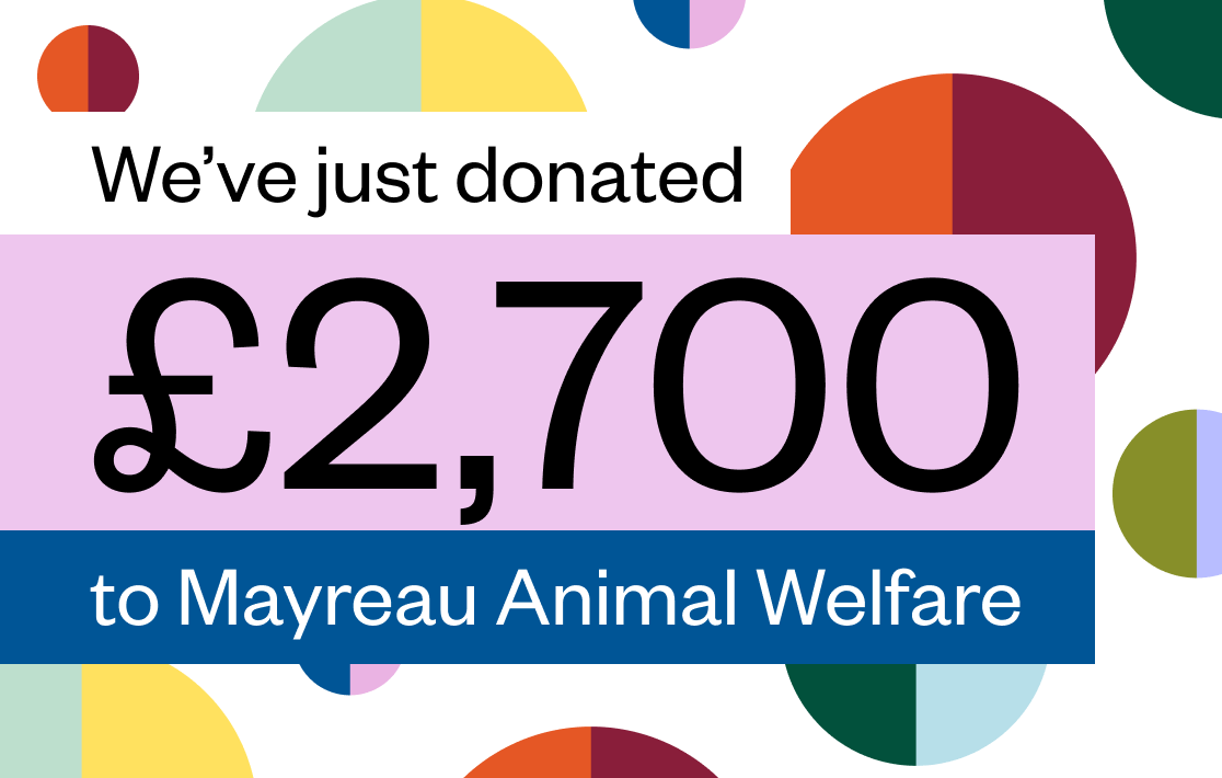 Giving Back, Together: £2,700 Donated to Mayreau Animal Welfare