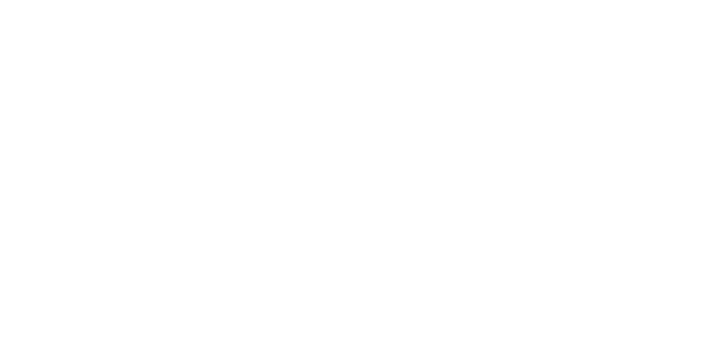 Carrefour Logo