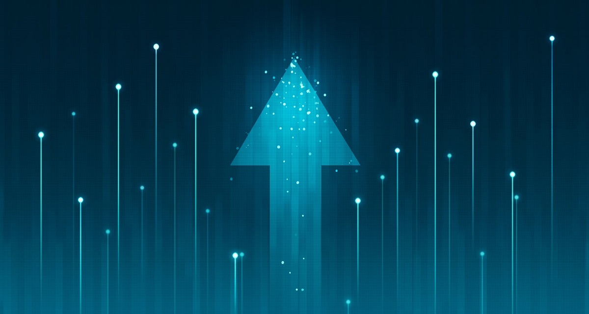 Asseco among Poland's largest private dividend companies