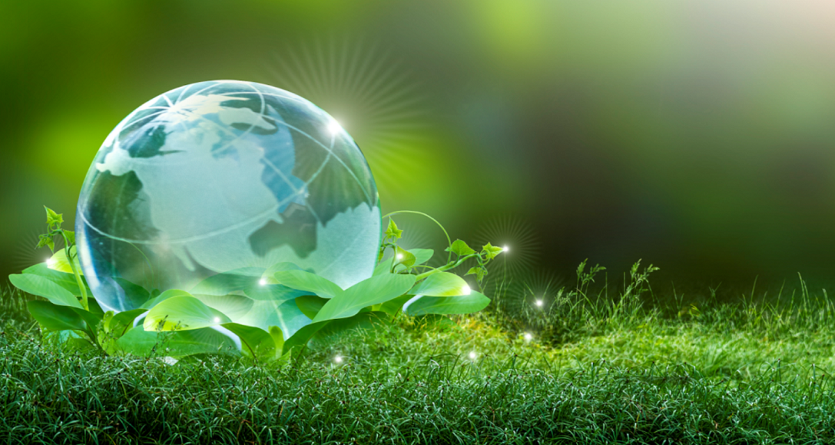 Asseco launches the #BusinessWithoutPaper initiative and joins the Clean Poland Program