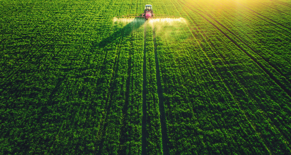 Asseco będzie obsługiwało SIA – największy system IT w ARiMR