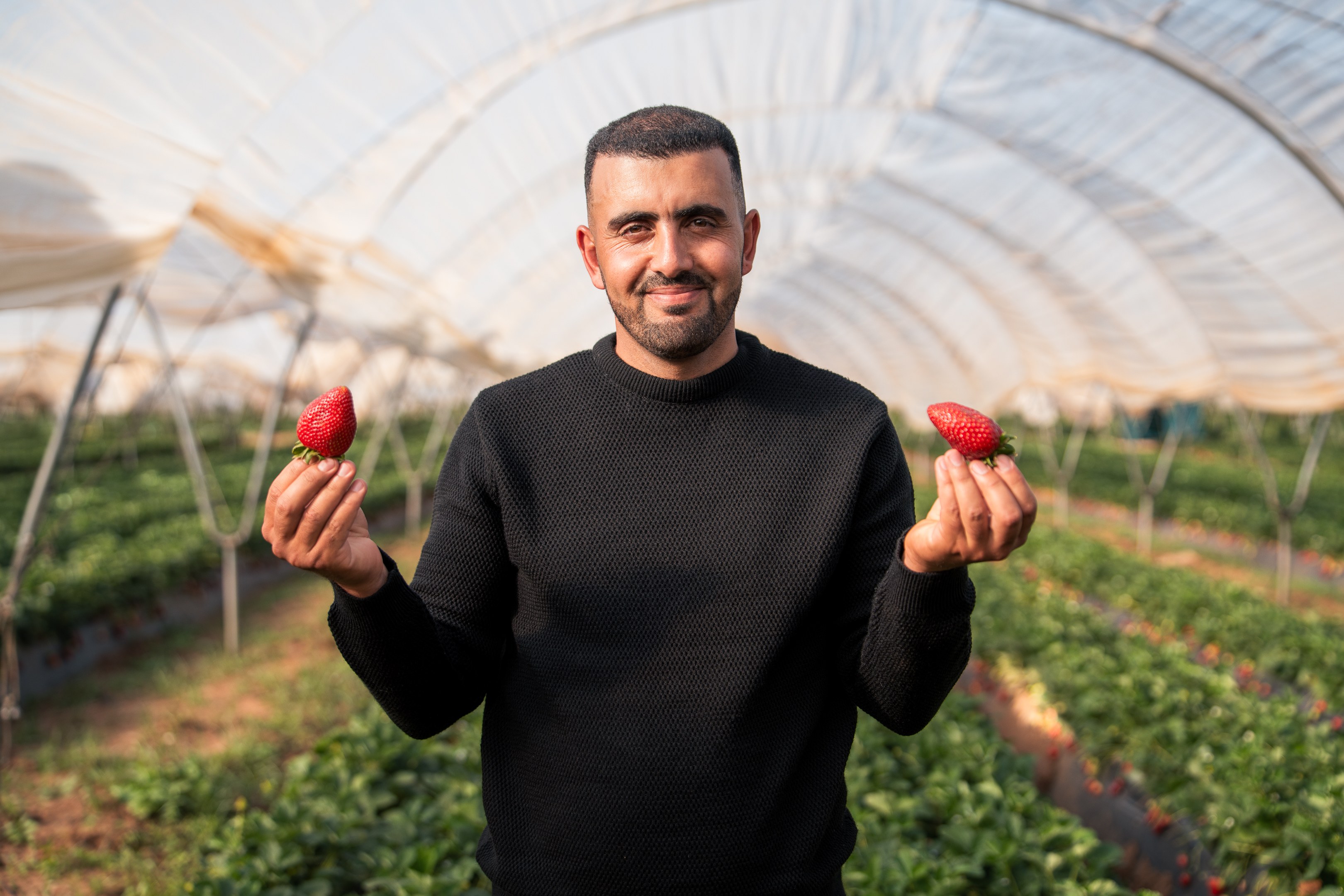 Aardbeienteler in Marokko, beeld bij de case van Crop’s