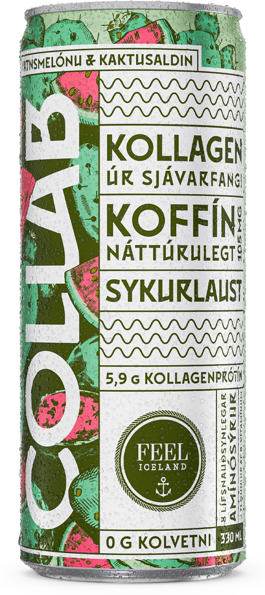 Vatnsmelónu & kaktusaldin