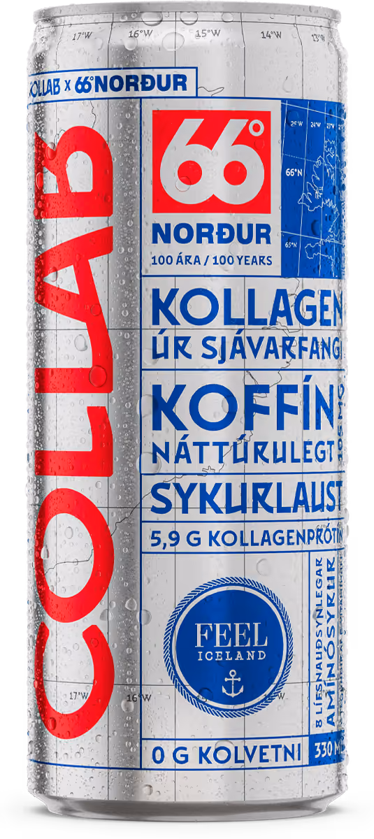 66°NORÐUR
