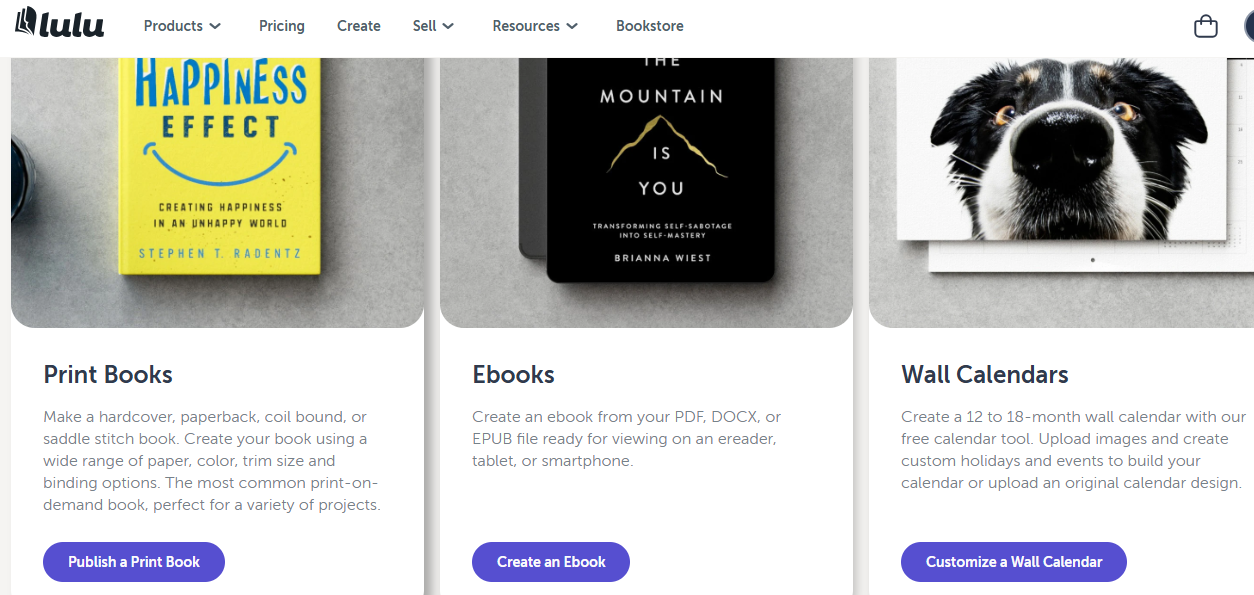 available e-book options to create