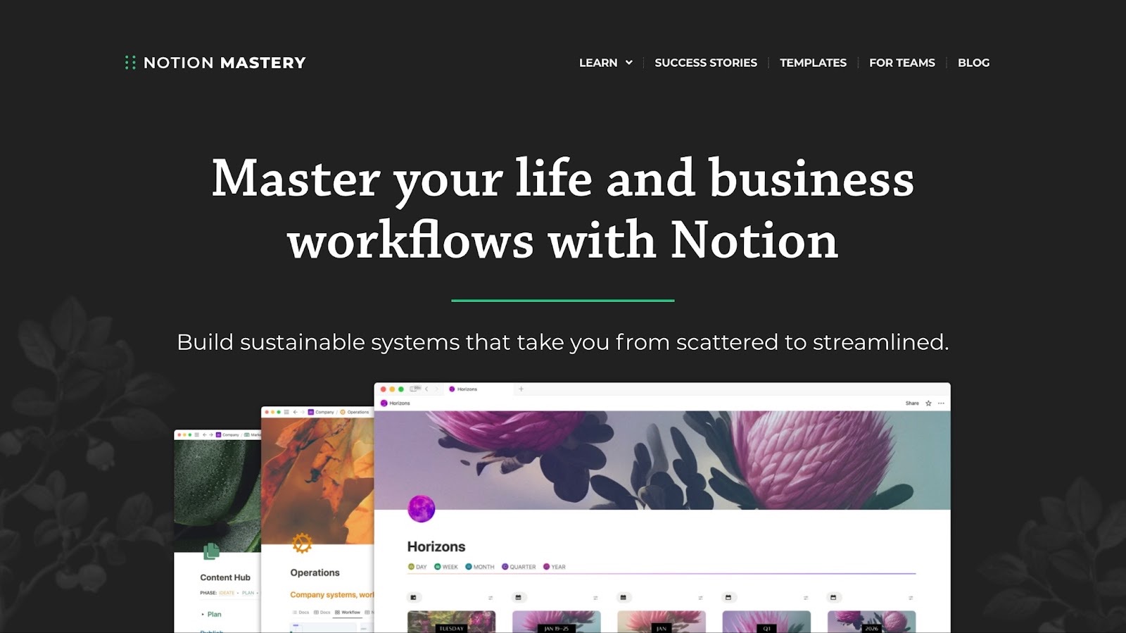 notion mastery course landing page
