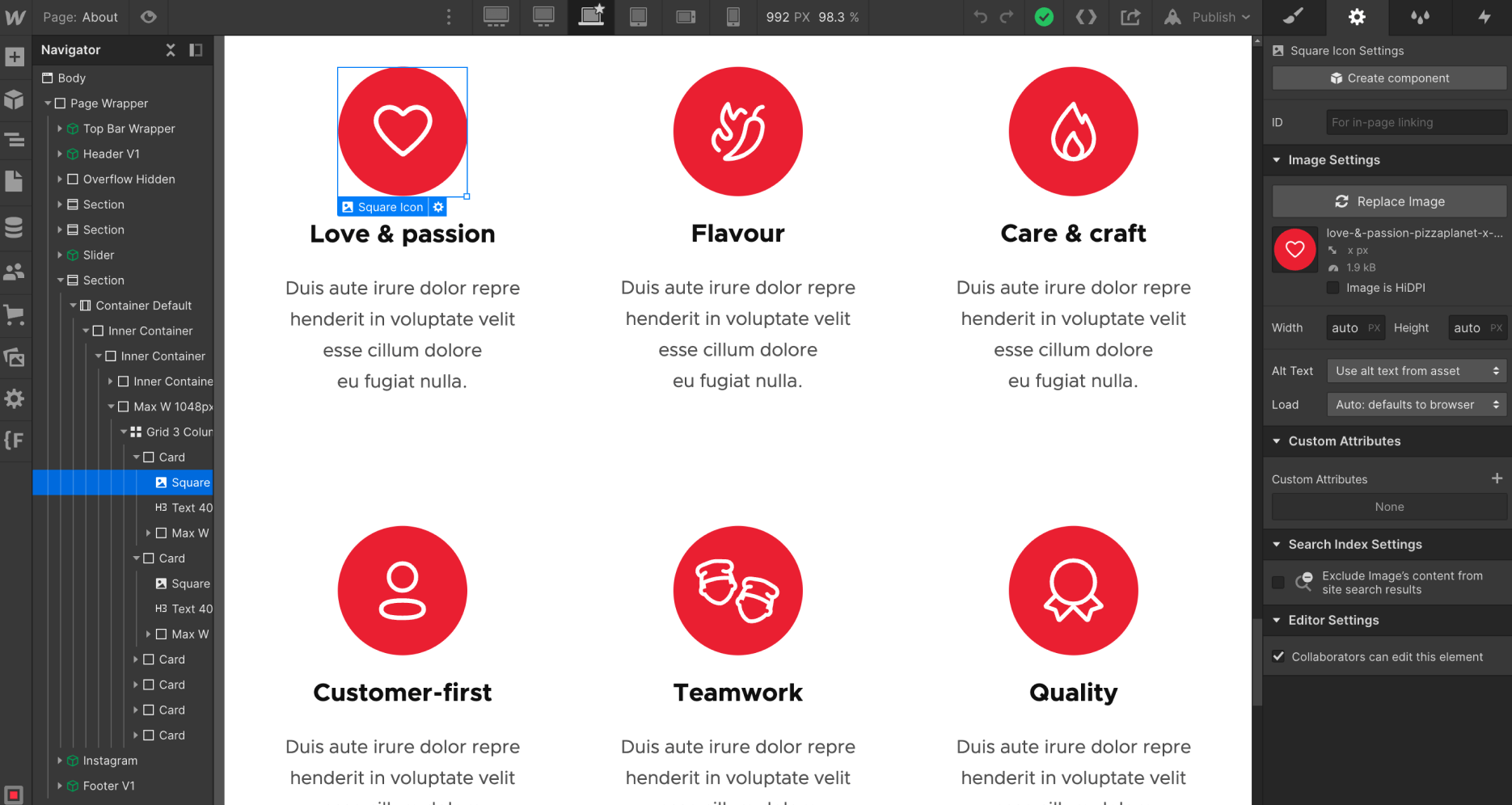 Icons And Graphics - Pizzaplanet X Webflow Template