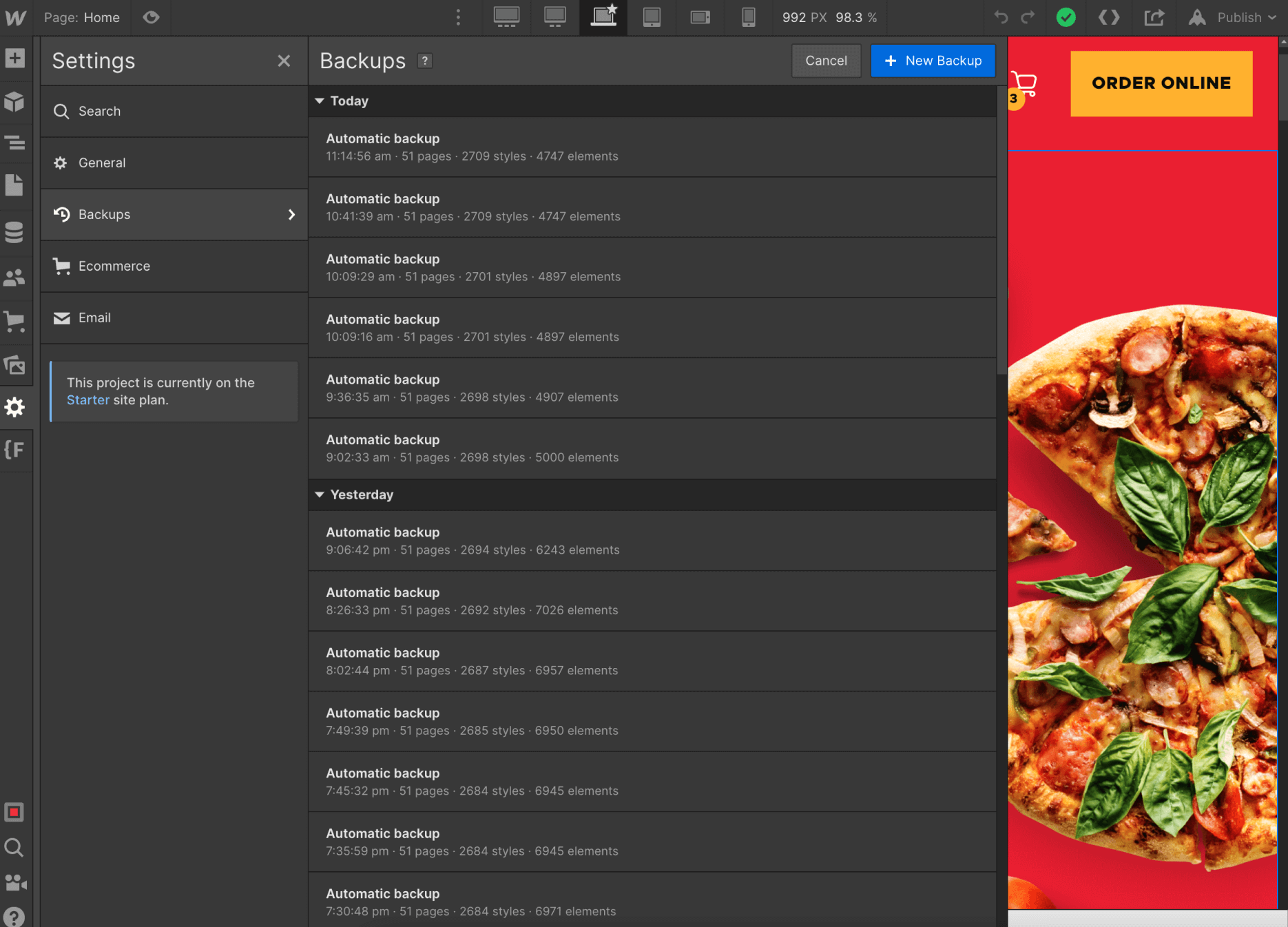 Backups - Pizzaplanet X Webflow Template