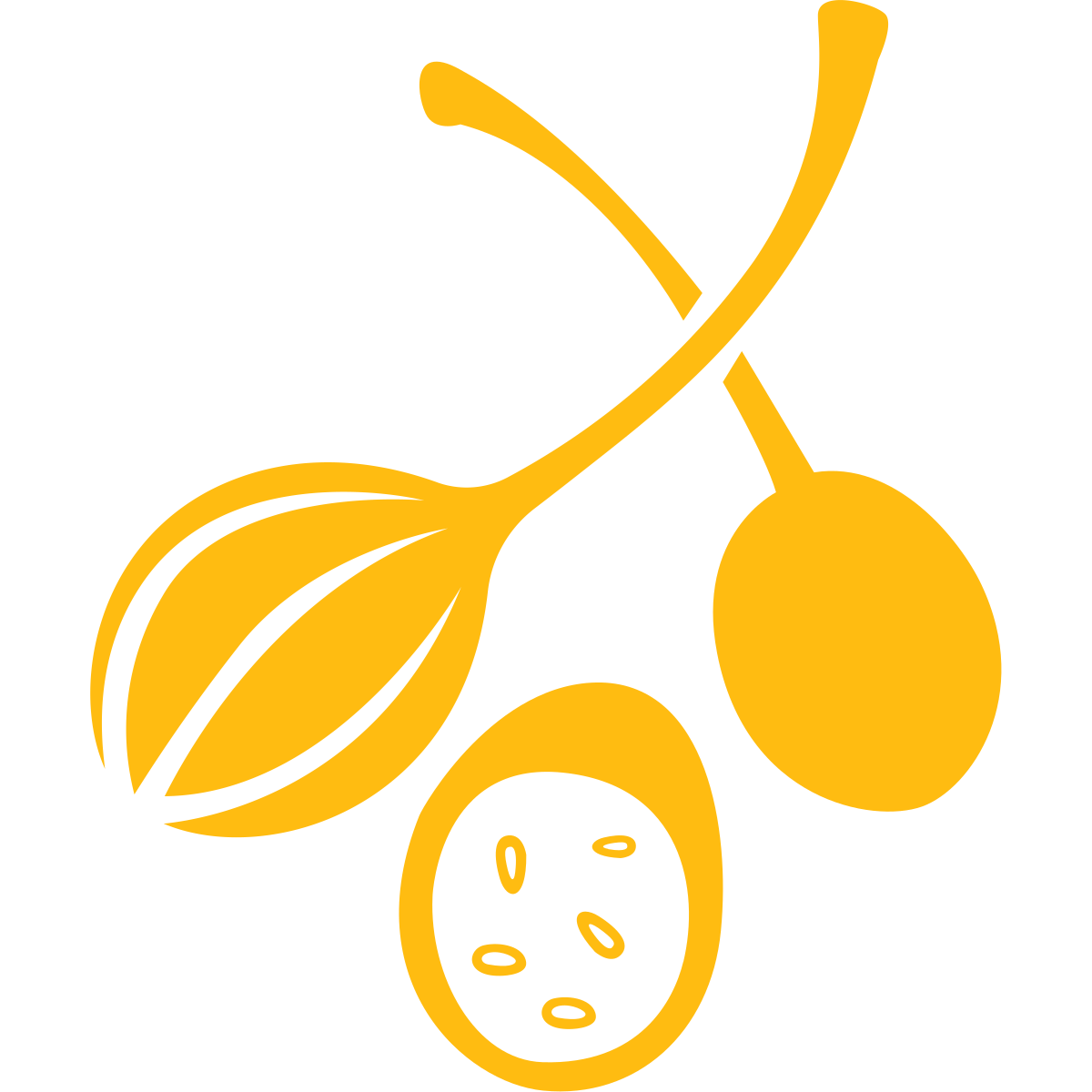 Kapern