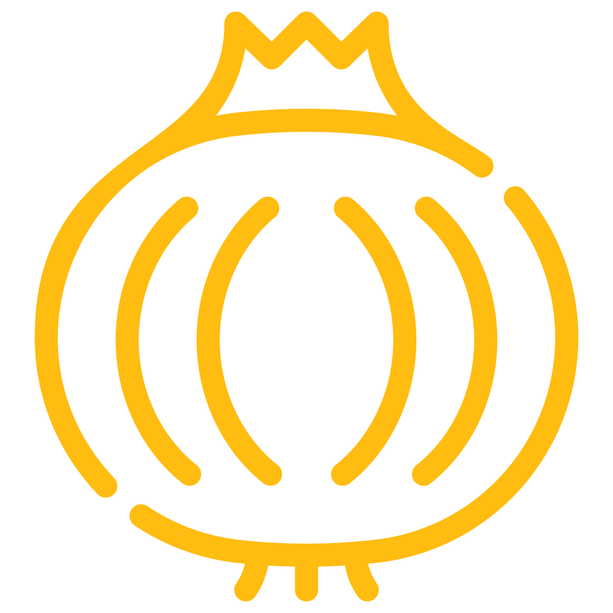 Zwiebeln