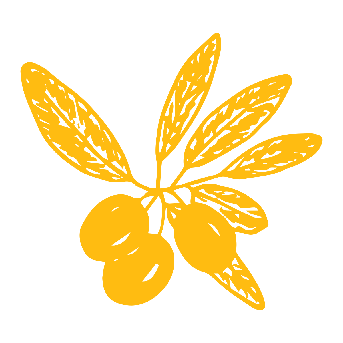 Schwarzen Oliven