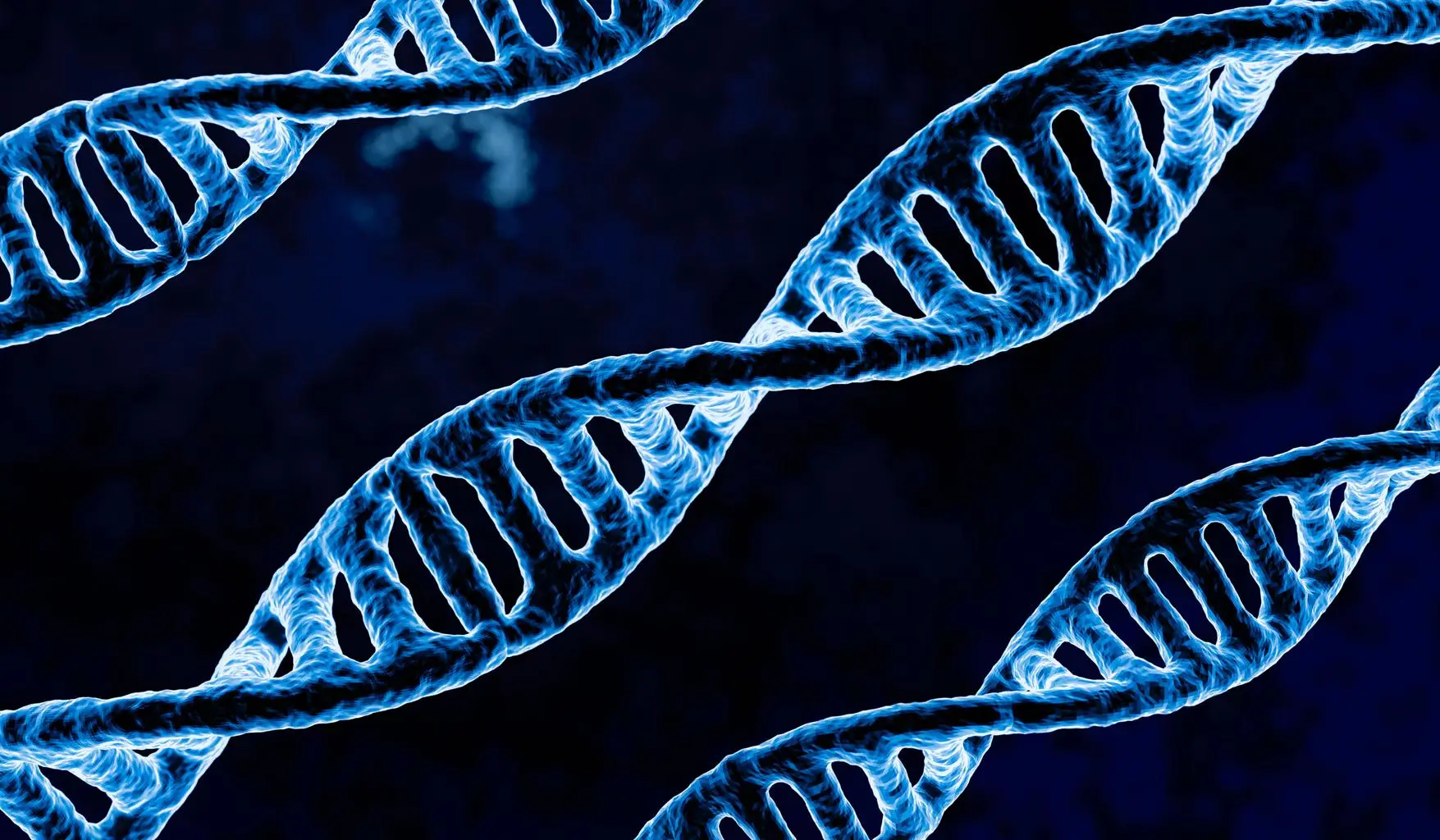 Proteine für deine Gesundheit