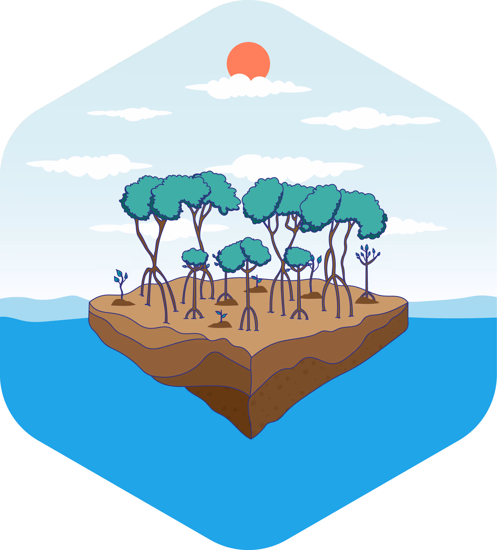 Illustration of a mangrove island with mature and young mangrove trees surrounded by ocean under a red sun and scattered clouds.