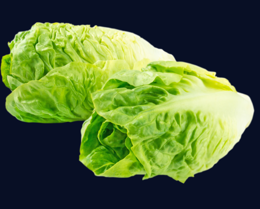 Jégsaláta