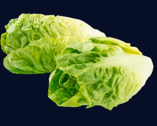 Jégsaláta