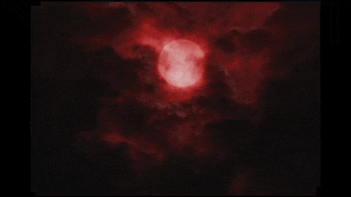 Maison Margiela Nighthawk, animated film still 013. Film directed by Sasha Kasiuha. Creative direction by John Galliano.