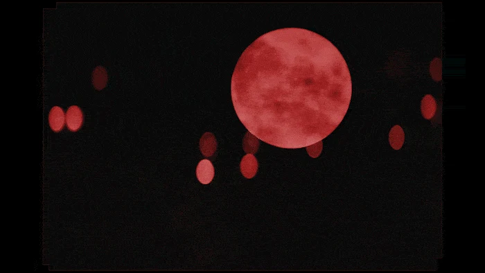 Maison Margiela Nighthawk, animated film still 014. Film directed by Sasha Kasiuha. Creative direction by John Galliano.
