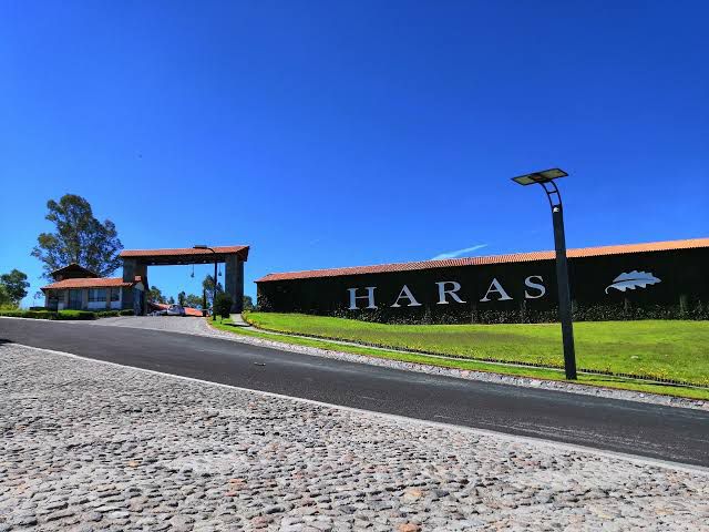 VENTA DE TERRENO EN FRACC. HARAS CIUDAD ECOLÓGICA