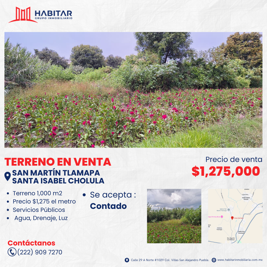 V36: VENTA DE TERRENO EN SAN MARTIN TLAMAPA, SANTA ISABEL CHOLULA 