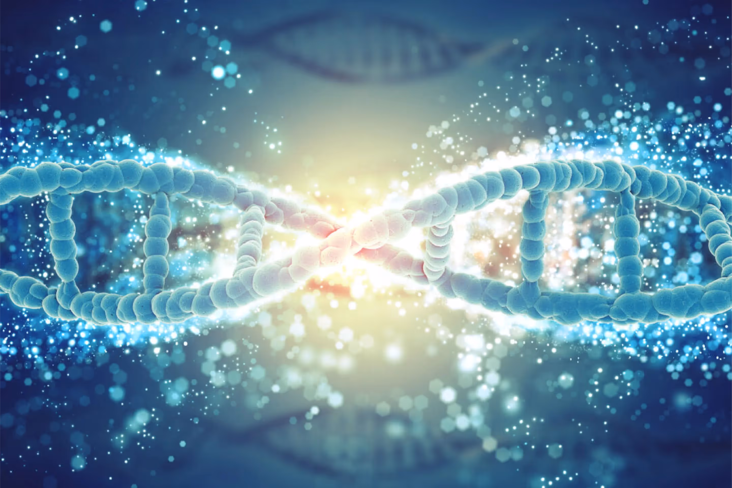 Liquid Biopsy Project