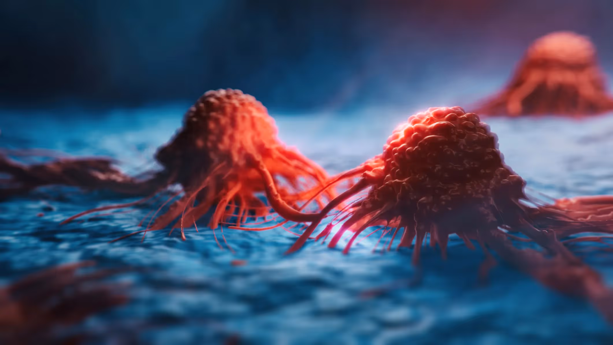 Cancer Liquid Biopsy: Non-invasive blood-based monitoring for cancer
