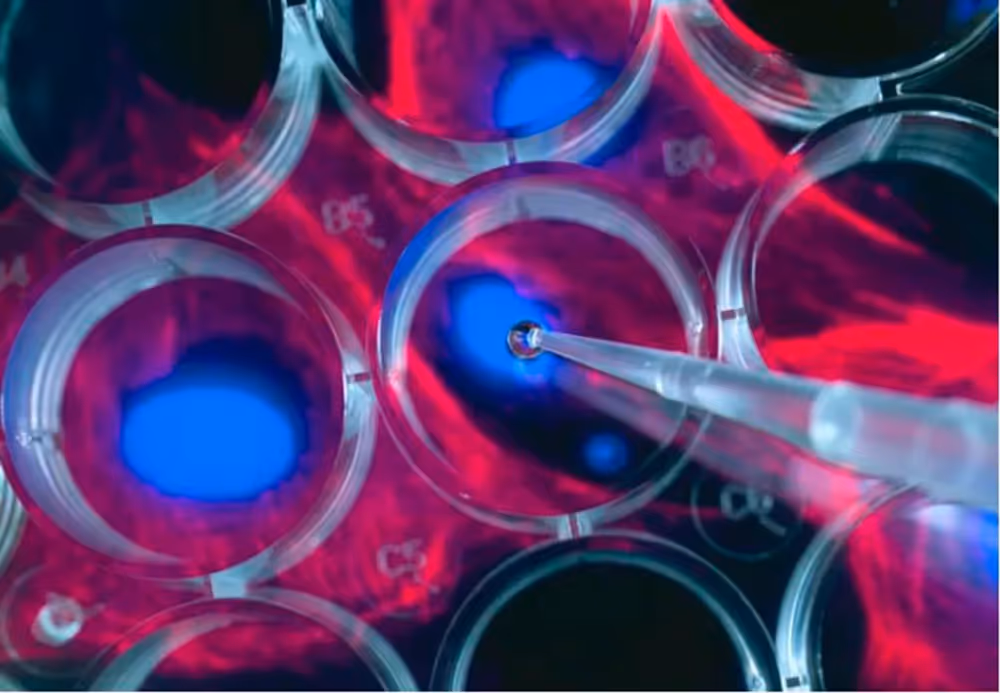 Testing, testing, testing: Can blood tests help detect cancers early?